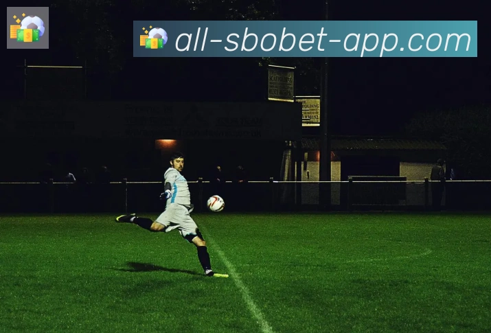利记sbobet体育平台生态图